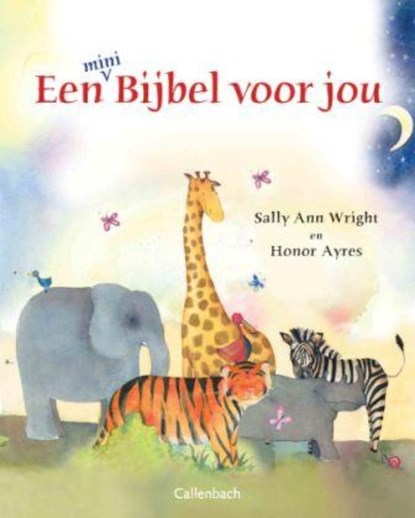 Een bijbel voor jou, Sally Ann Wright - Gebonden - 9789026620416