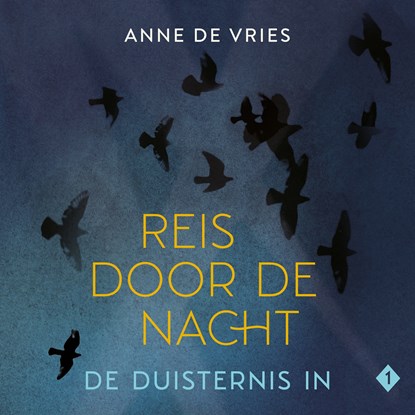De duisternis in, Anne de Vries - Luisterboek MP3 - 9789026625619