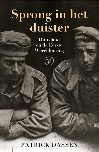 Sprong in het duister, Patrick Dassen - Paperback - 9789028222137