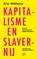 Kapitalisme en slavernij, Eric Williams - Paperback - 9789028232105