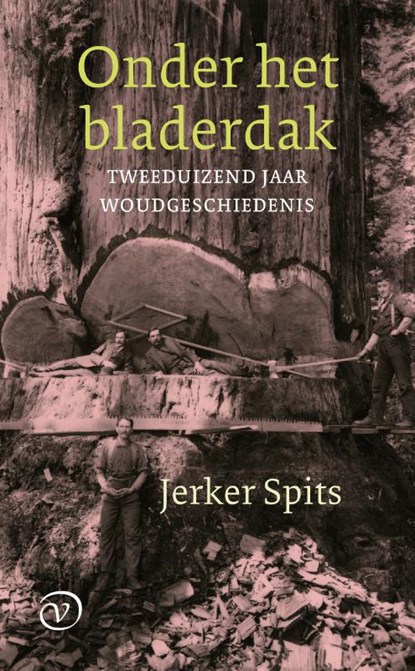 Onder het bladerdak, Jerker Spits - Paperback - 9789028242142