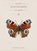 De Duivelsberg, Daan Borrel - Paperback - 9789028252103