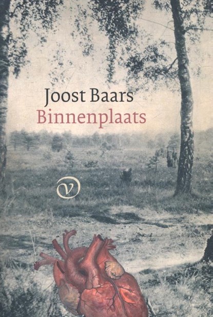 Binnenplaats, Joost Baars - Paperback - 9789028261877
