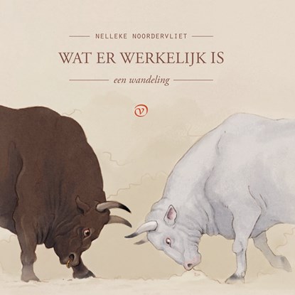 Wat er werkelijk is, Nelleke Noordervliet - Luisterboek MP3 - 9789028262331