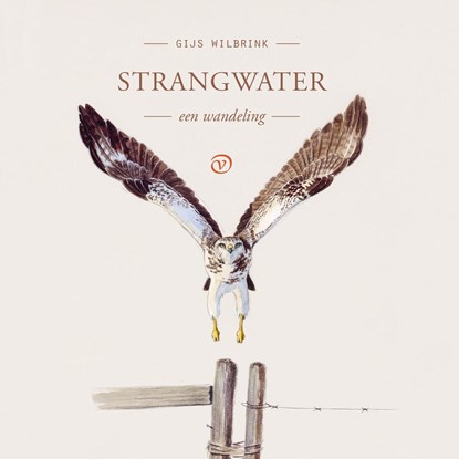 Strangwater, Gijs Wilbrink - Luisterboek MP3 - 9789028262751