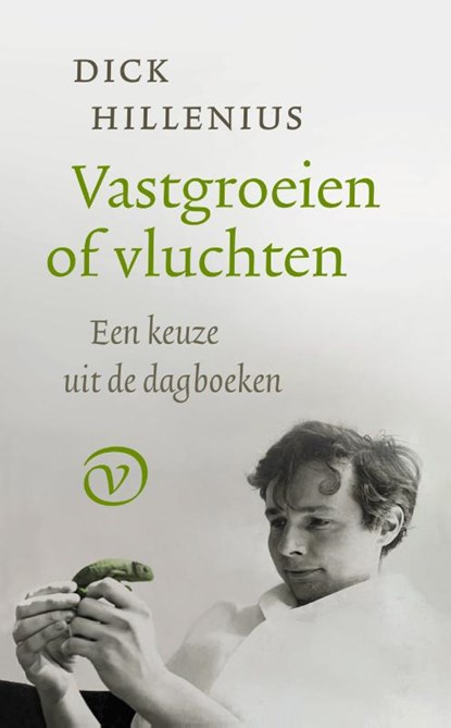 Vastgroeien of vluchten, Dick Hillenius - Gebonden - 9789028264274