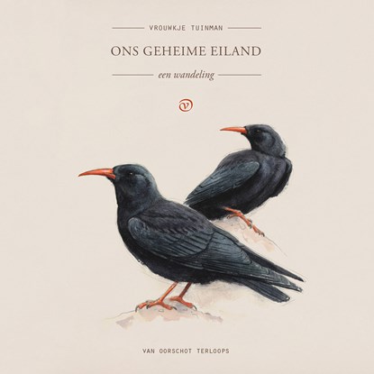 Ons geheime eiland, Vrouwkje Tuinman - Luisterboek MP3 - 9789028269101