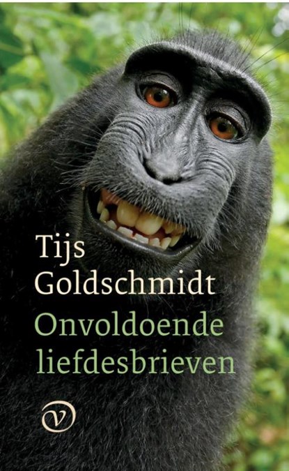 Onvoldoende liefdesbrieven, Tijs Goldschmidt - Paperback - 9789028291003