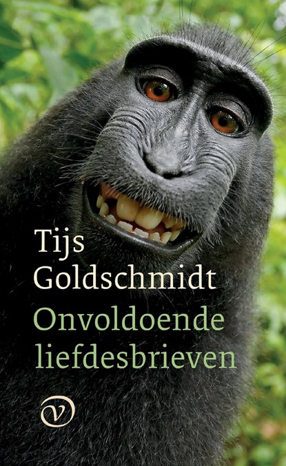 Onvoldoende liefdesbrieven, Tijs Goldschmidt - Ebook - 9789028291065