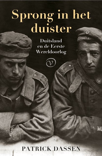 Sprong in het duister, Patrick Dassen - Ebook - 9789028291270