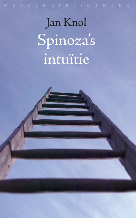 Spinoza's intuitie