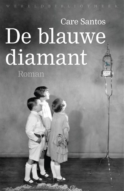De blauwe diamant, Care Santos - Paperback - 9789028427464