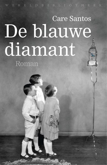 De blauwe diamant, Care Santos - Ebook - 9789028442993