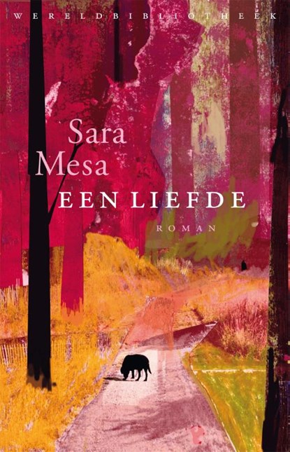 Een liefde, Sara Mesa - Paperback - 9789028450943
