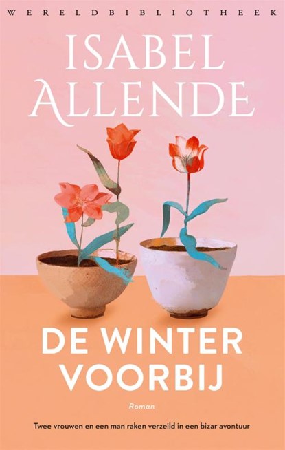 De winter voorbij, Isabel Allende - Paperback - 9789028453142