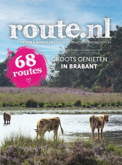 Groots genieten in Noord-Brabant, niet bekend - Paperback - 9789028703803