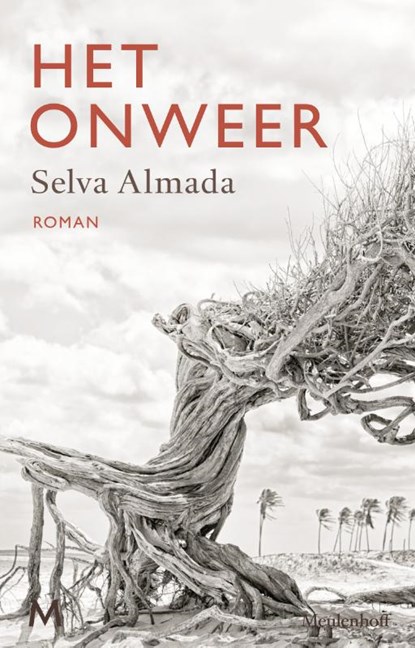 Het onweer, Selva Almada - Gebonden - 9789029089951
