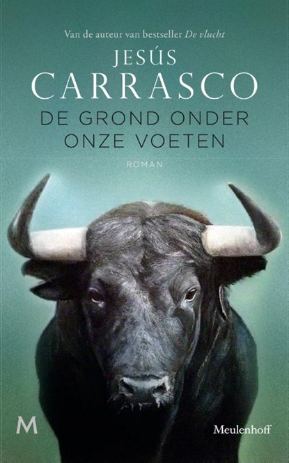 De grond onder onze voeten, Jesús Carrasco - Paperback - 9789029092289