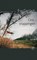 Ontsnappingen, Eva Gerlach - Paperback - 9789029505956