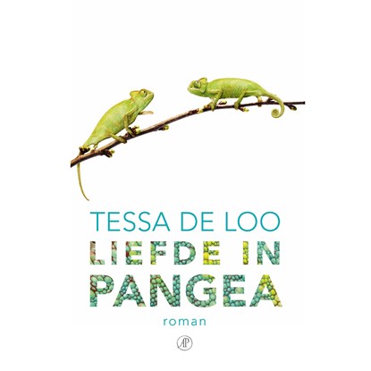 Liefde in Pangea, Tessa de Loo - Luisterboek MP3 - 9789029522205