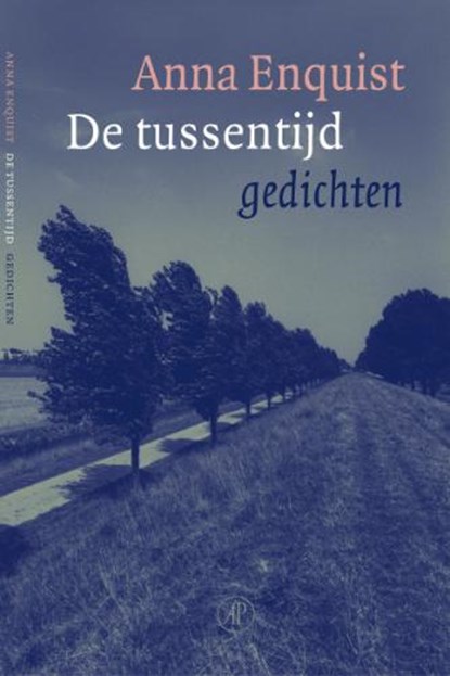 De tussentijd, ENQUIST, Anna - Paperback - 9789029522588