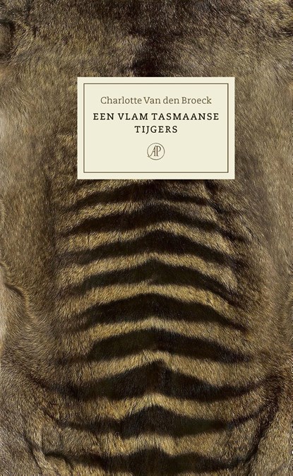 Een vlam Tasmaanse tijgers, Charlotte Van den Broeck - Ebook - 9789029542777