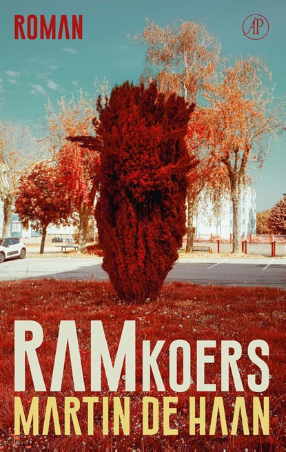 Ramkoers, Martin de Haan - Ebook - 9789029543323