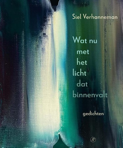 Wat nu met het licht dat binnenvalt, Siel Verhanneman - Paperback - 9789029544108