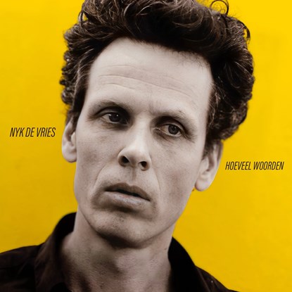 Hoeveel woorden, Nyk de Vries - Luisterboek MP3 - 9789029553407