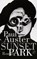 Sunset Park, AUSTER, Paul - Gebonden - 9789029573504