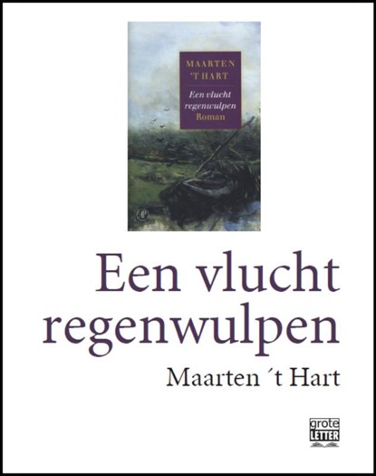 Een vlucht regenwulpen - grote letter, Maarten 't Hart - Paperback - 9789029579391