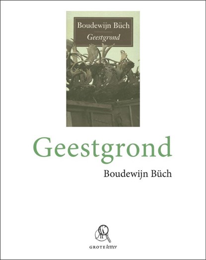 Geestgrond, Boudewijn Büch - Paperback - 9789029579476