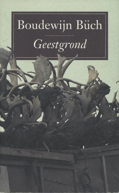 Geestgrond, Boudewijn Büch - Ebook - 9789029580915