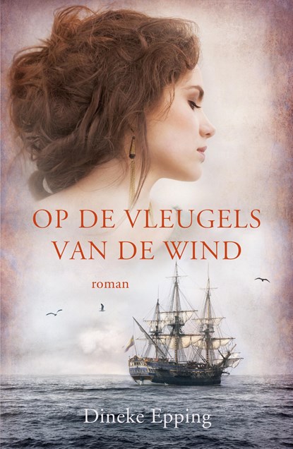 Op de vleugels van de wind, Dineke Epping - Paperback - 9789029726719