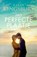 Het perfecte plaatje, Karen Kingsbury - Paperback - 9789029729284