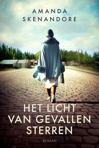 Het licht van gevallen sterren, Amanda Skenandore - Ebook - 9789029738835
