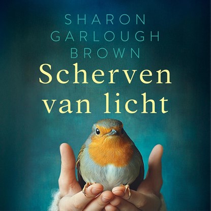 Scherven van licht, Sharon Garlough Brown - Luisterboek MP3 - 9789029739870