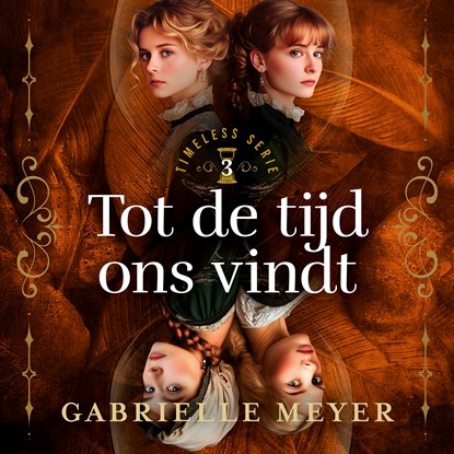 Tot de tijd ons vindt, Gabrielle Meyer - Luisterboek MP3 - 9789029739948