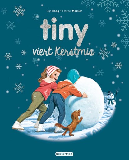 Tiny viert kerstmis, niet bekend - Gebonden - 9789030377788