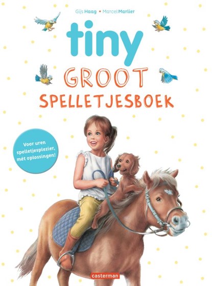 Groot spelletjesboek, niet bekend - Paperback - 9789030378259