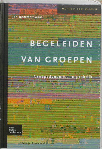 Begeleiden van groepen, Jan Remmerswaal - Gebonden - 9789031347315