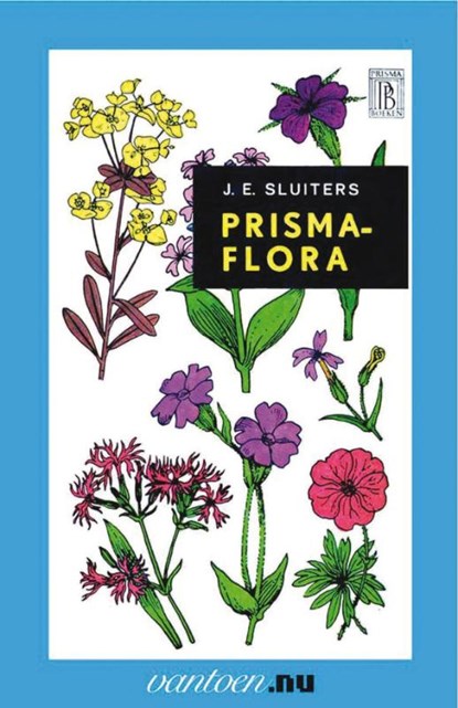 Prisma-flora, J.E. Sluiters - Paperback - 9789031504954