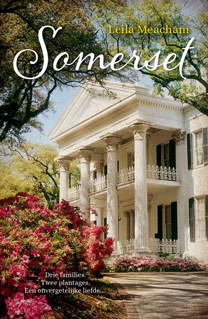 Somerset, Leila Meacham - Ebook - 9789032514600