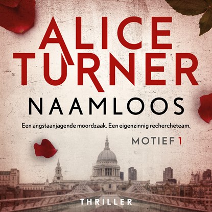 Naamloos, Alice Turner - Luisterboek MP3 - 9789032520014