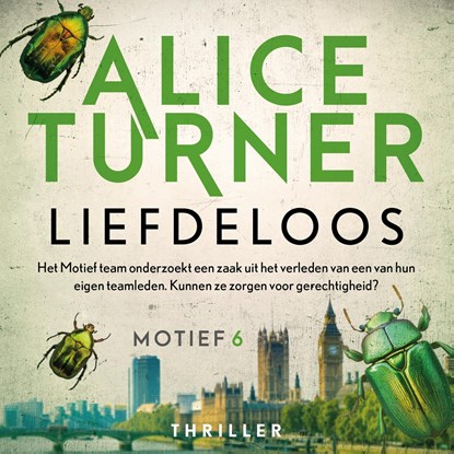Liefdeloos, Alice Turner - Luisterboek MP3 - 9789032520984