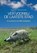 Ver voorbij de laatste stad, Martin Nieuwland - Paperback - 9789033004735