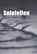 Sniefellen, Jan Kleefstra - Paperback - 9789033004865