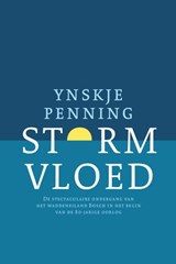 Stormvloed - Ynskje Penning - 9789033005664