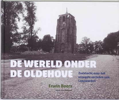 De wereld onder de Oldehove, BOERS, Erwin - Gebonden - 9789033008320