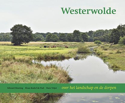 Westerwolde, Edward Houting - Gebonden - 9789033009310